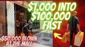 Turn $1000 Into $100,000 Fast | $50,000 Shopping Spree | Make Money Online