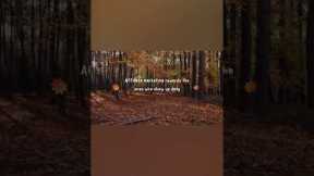 The power of passive income #digitalmarketing #affiliatemarketing